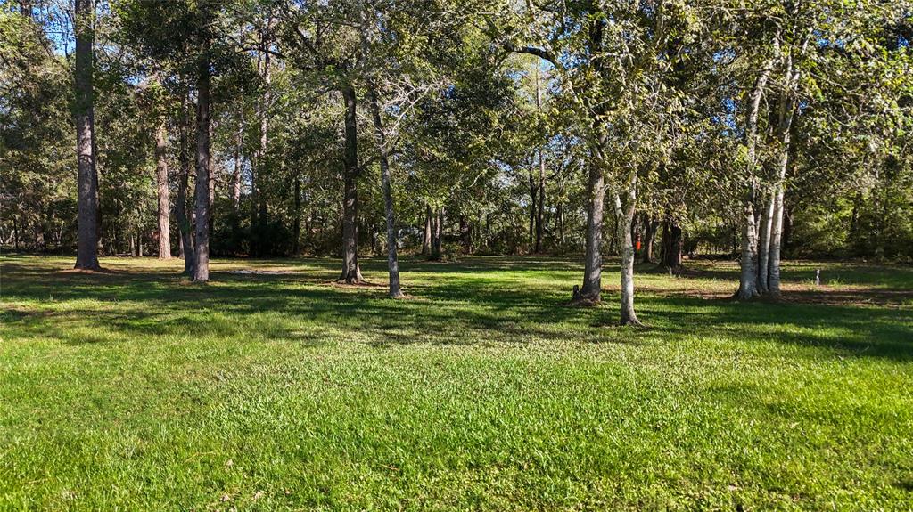 Front yard.  Beautiful property with amazing trees!