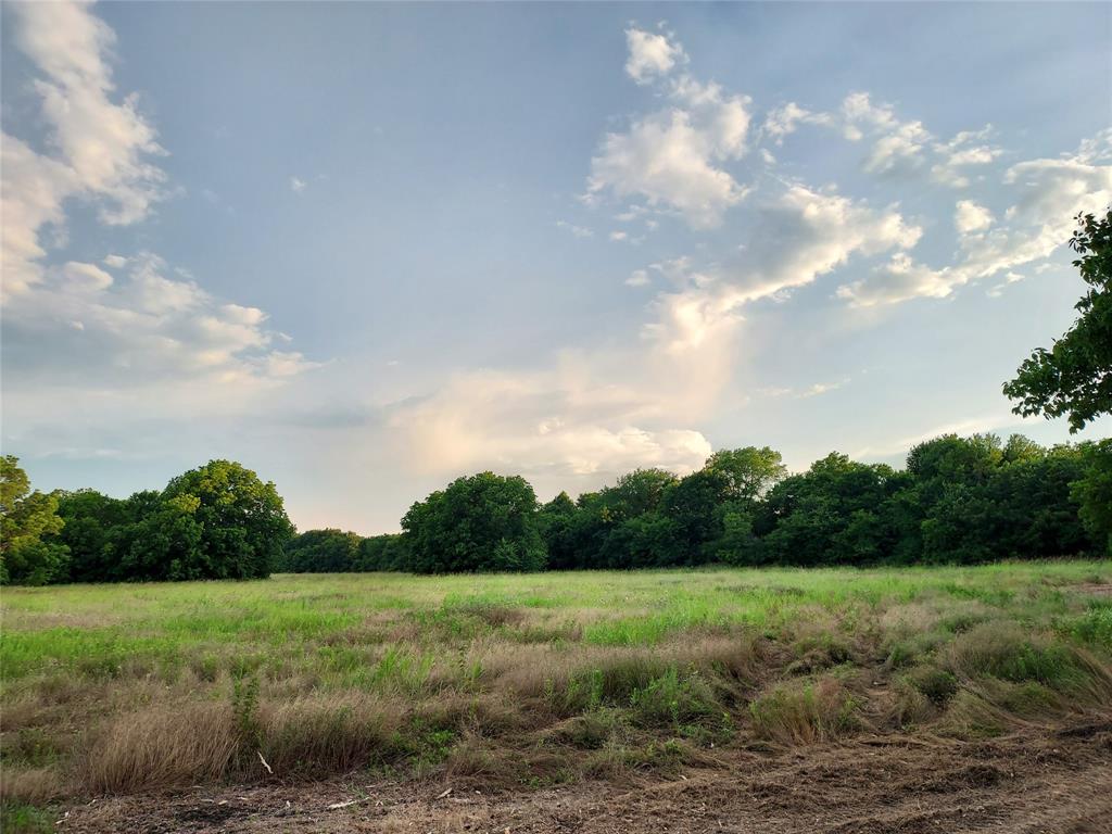 a view of a big yard