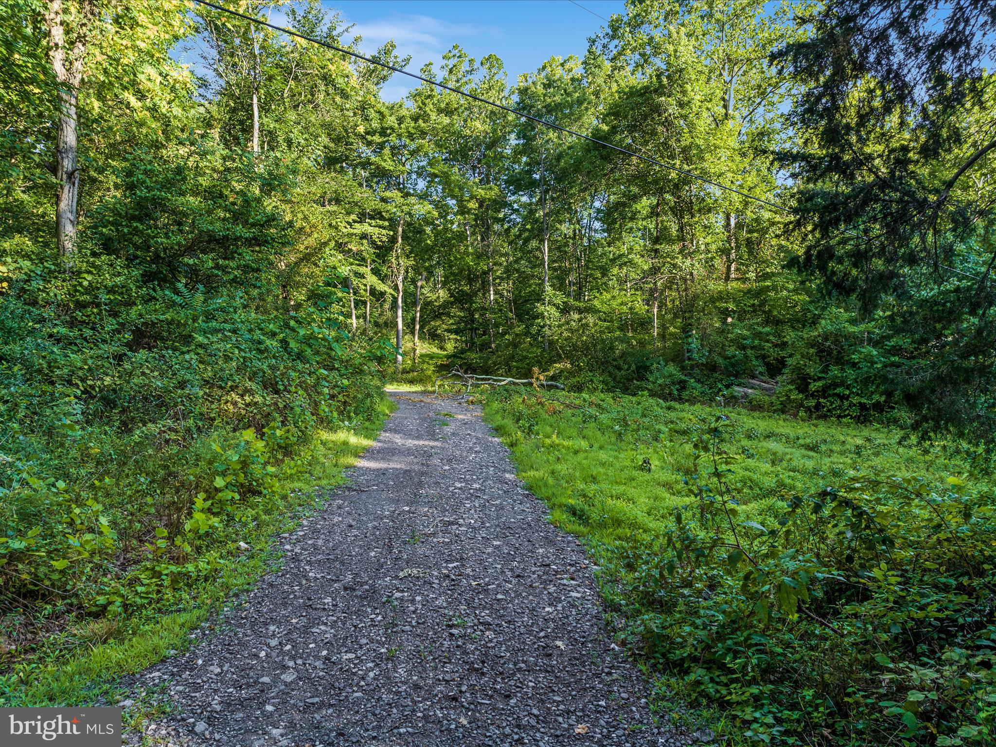 a view of a pathway both side of yard