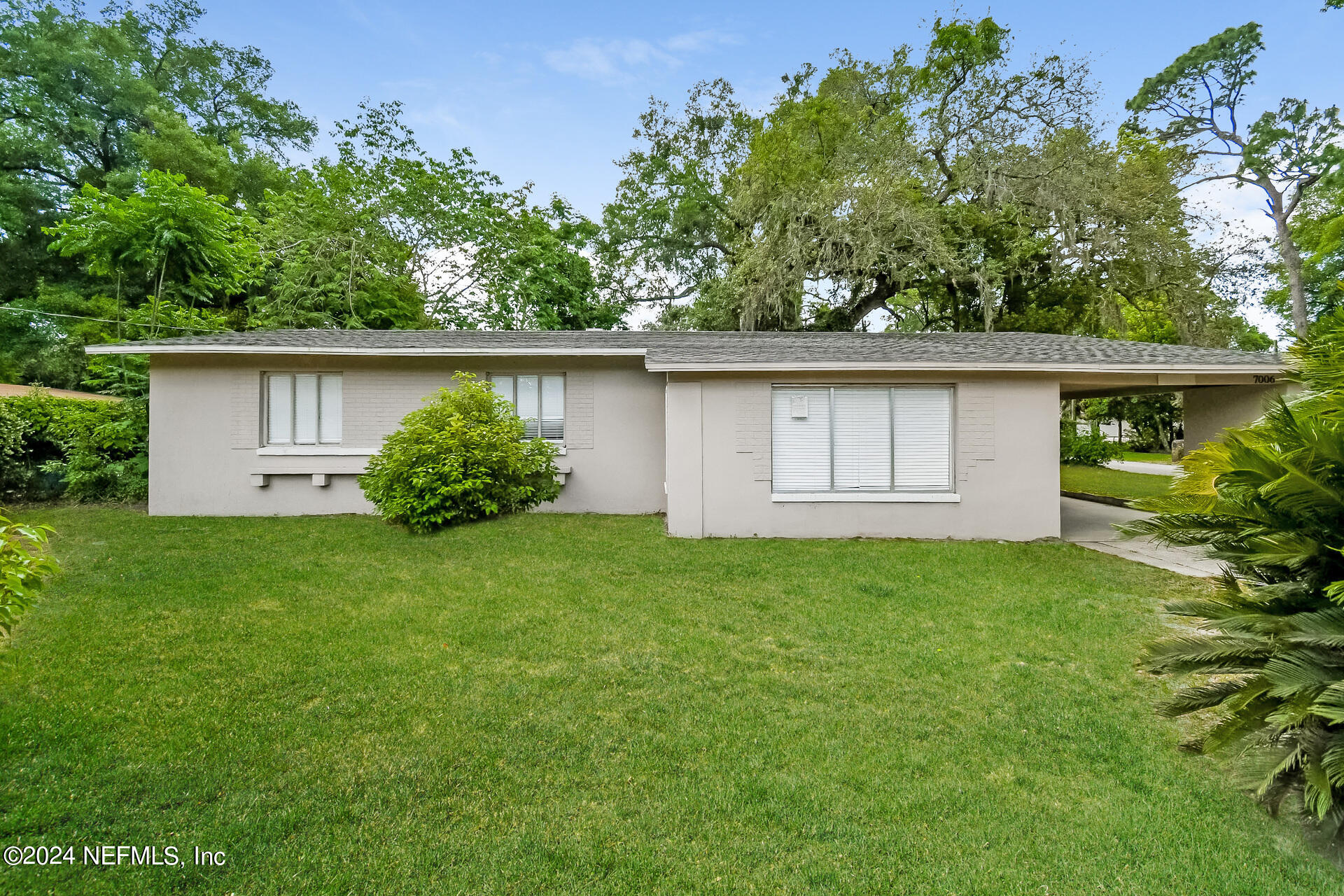 a house with a tree in front of it