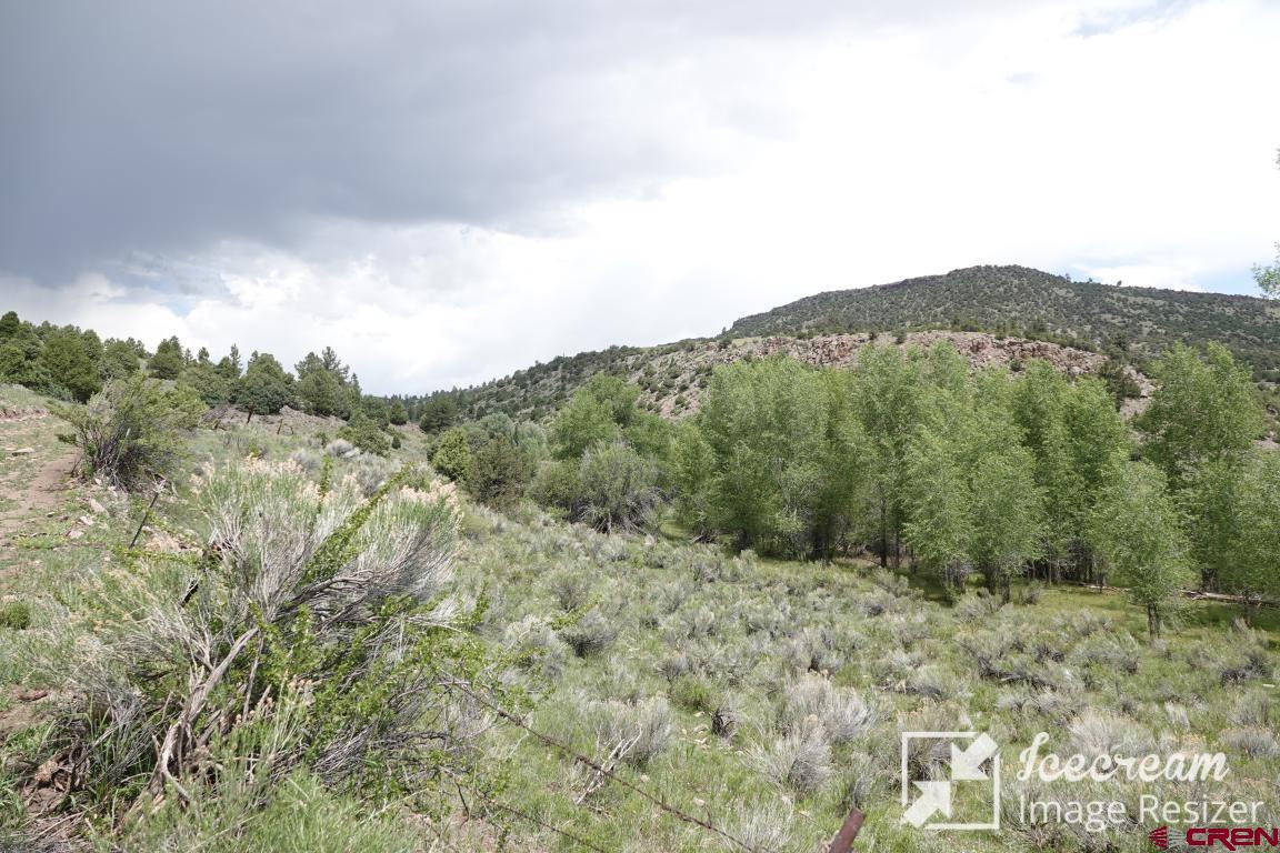 a view of a mountain range with trees in the background