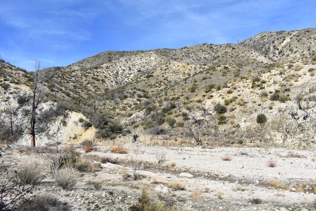 $35,000 | 20811 Pine Canyon Road | Lake Hughes