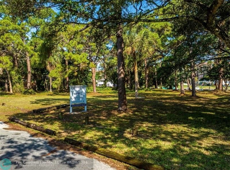 a bench is sitting in the middle of a yard