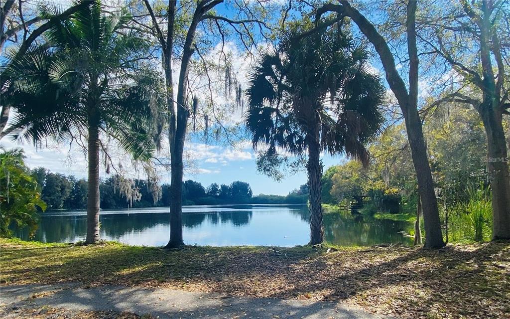 a view of a lake with a yard and large trees