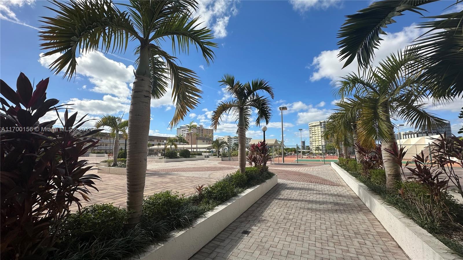 a view of a yard and palm trees