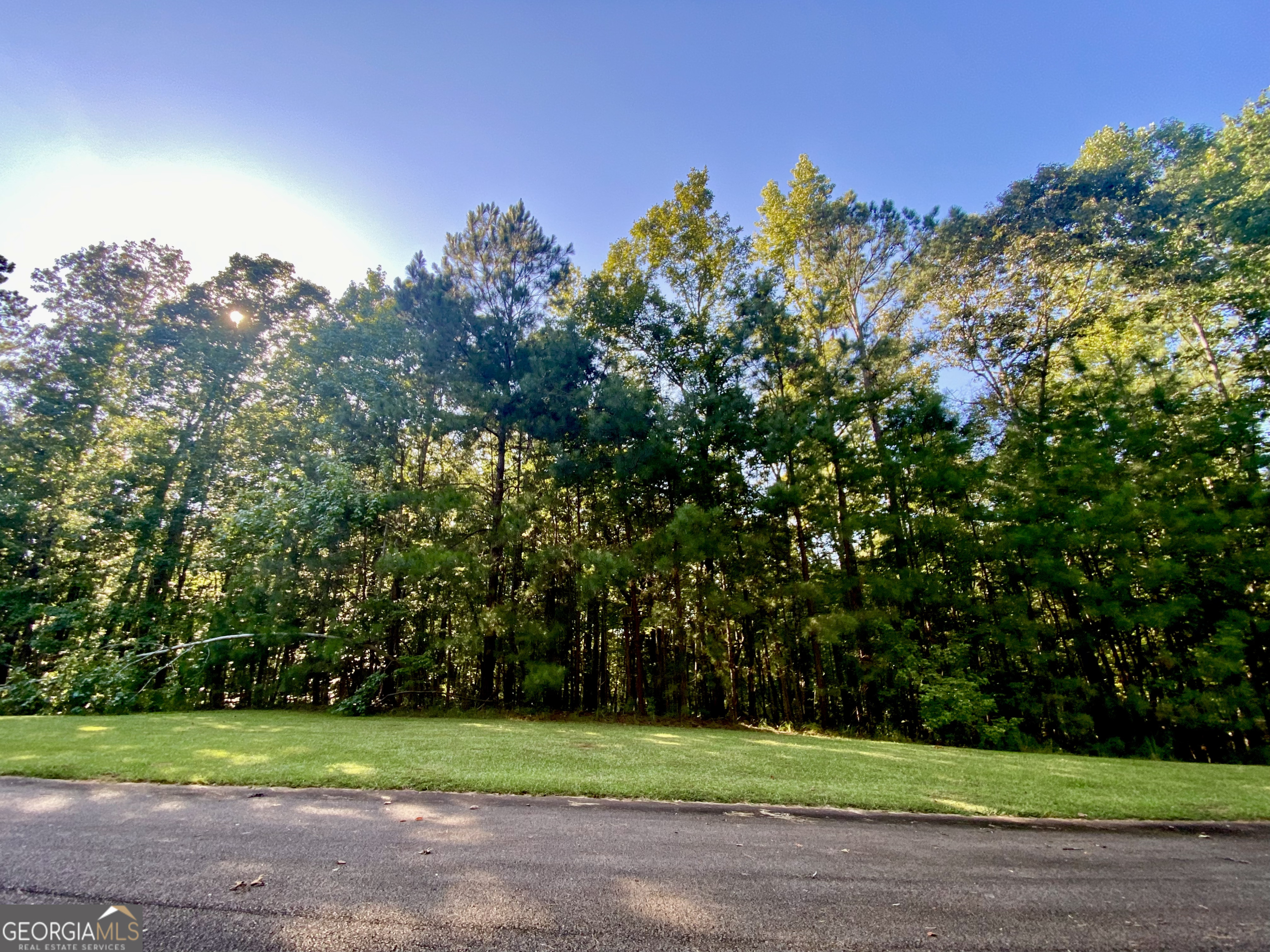 a big yard with a house in the background