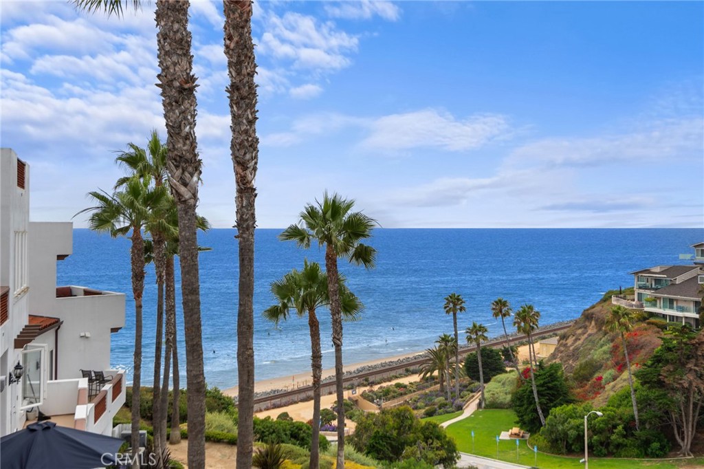 a view of a yard with palm trees