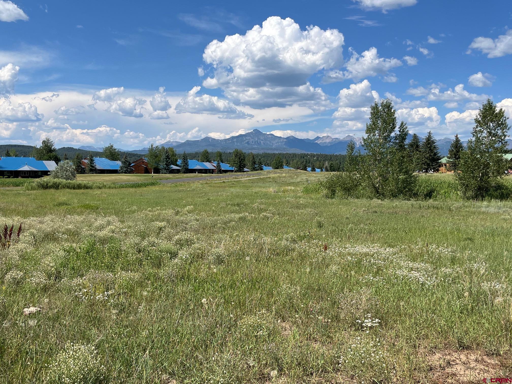 a view of a big yard with a house in the background