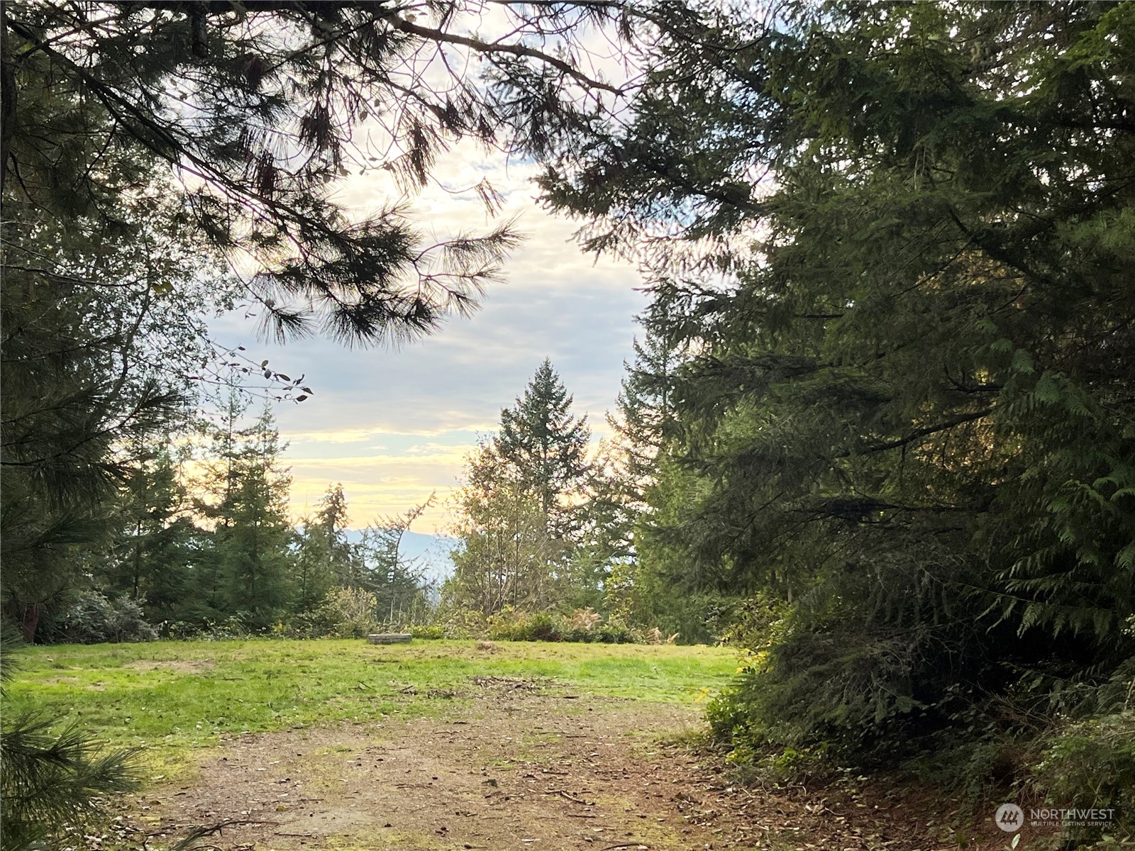 a view of a field with a tree in the background