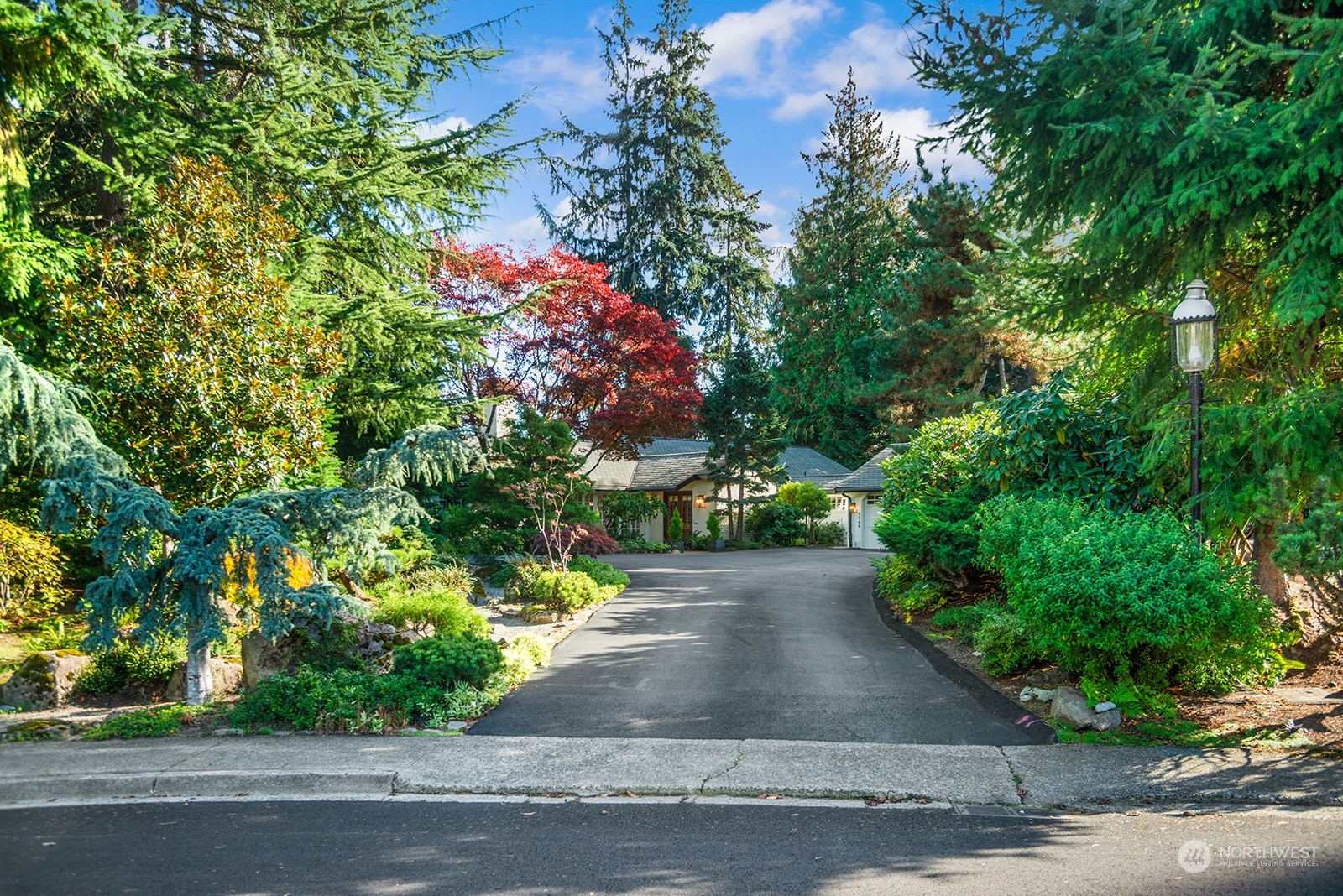 a view of a garden with pathway