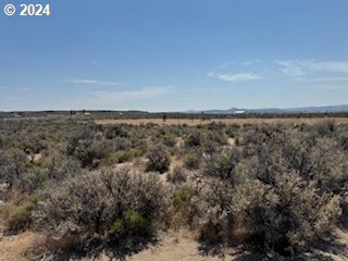 a view of a dry yard