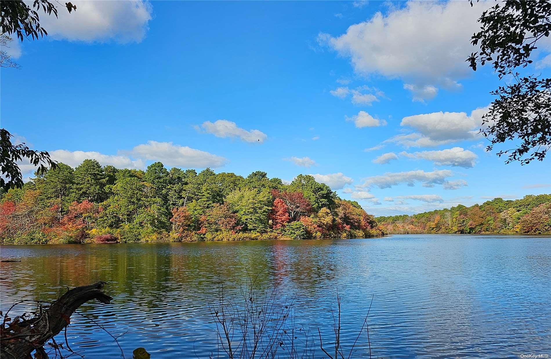 a view of lake