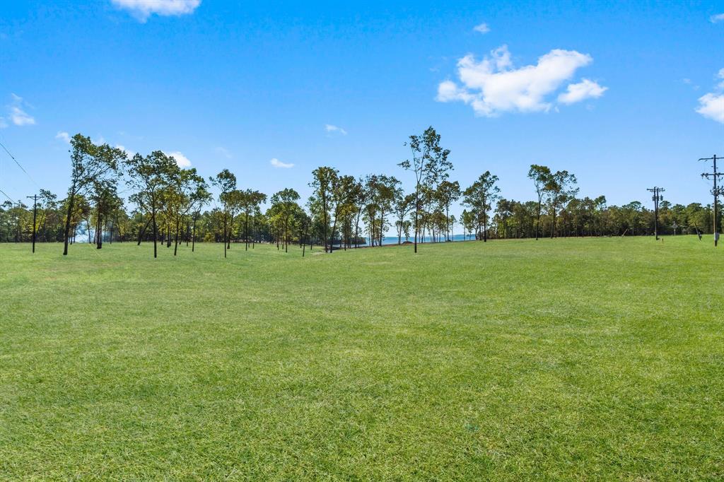 a view of a golf course with a lake