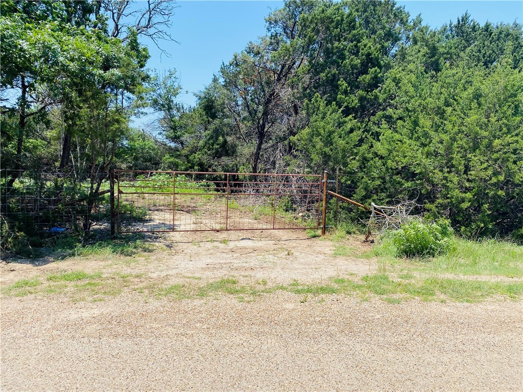 a view of a yard with a tree