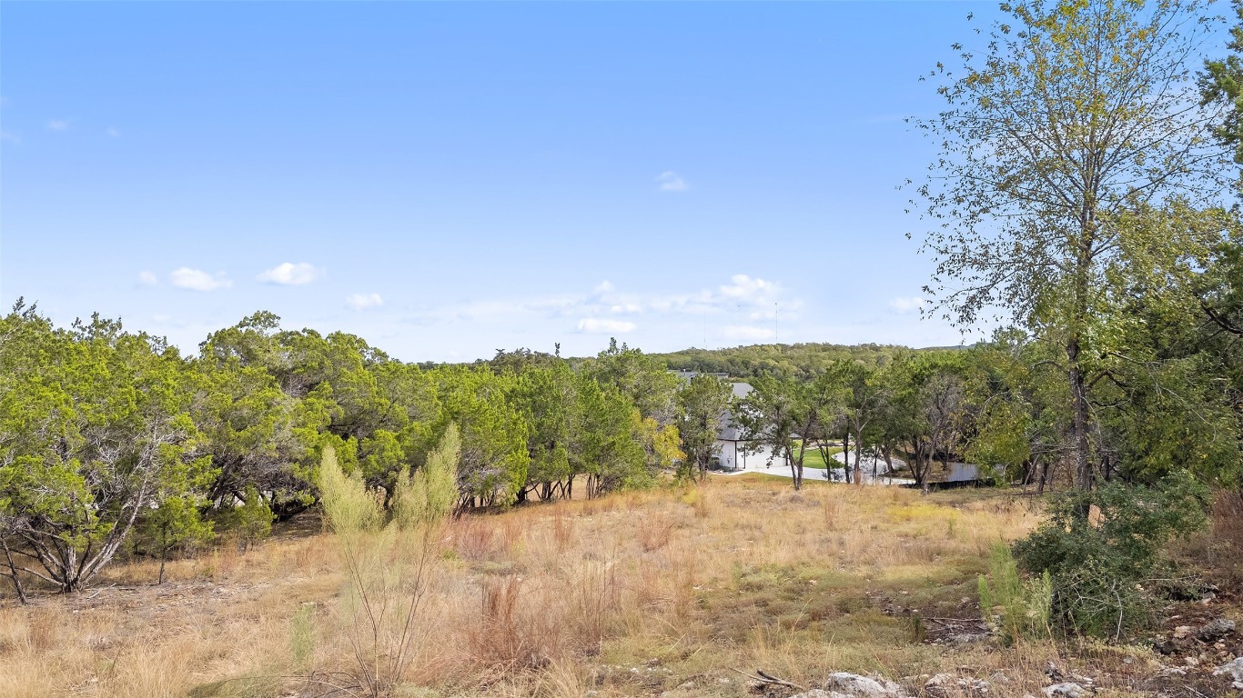 a view of a yard with a tree