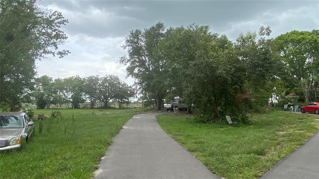 a view of a park with large trees