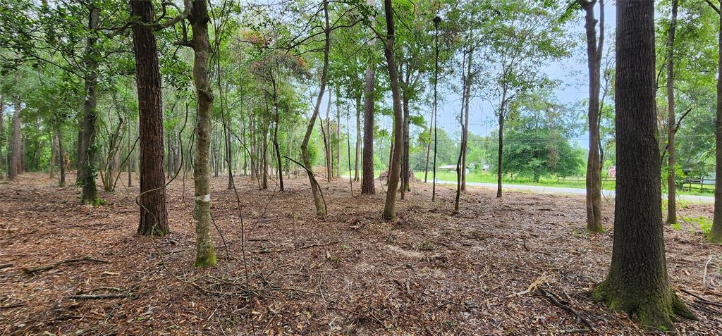 a view of outdoor space with trees