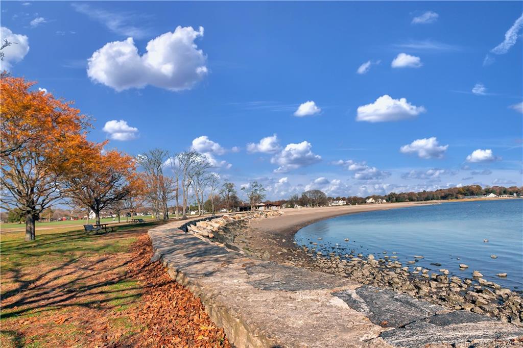 are dogs allowed at cove beach stamford