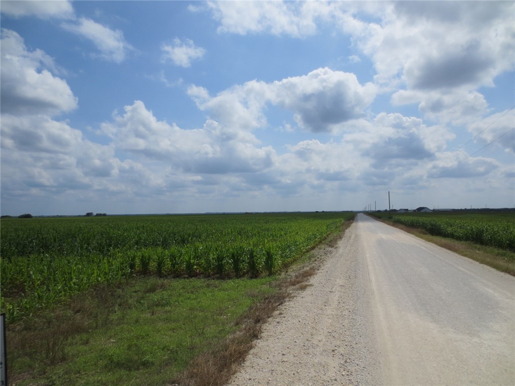 a view of a pathway both side of grassy field with shrub