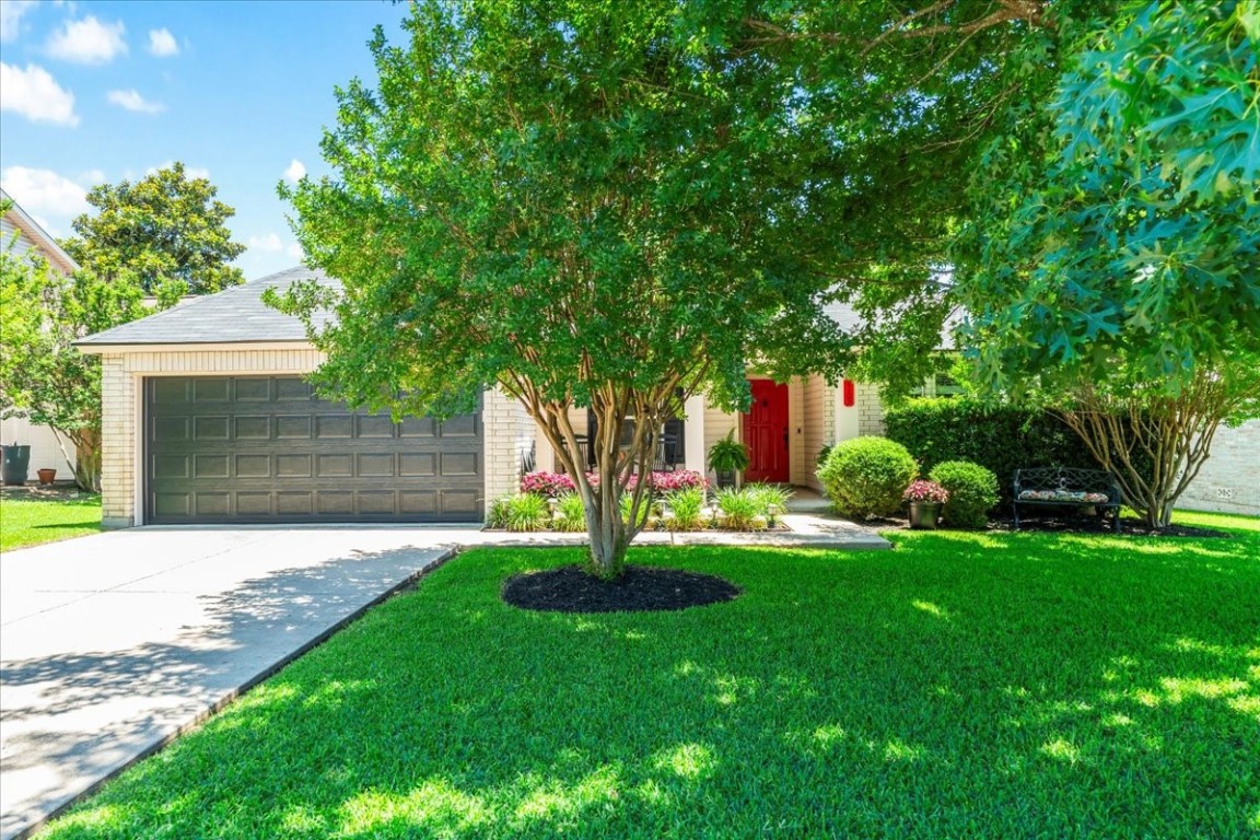 a garden with trees in front of it