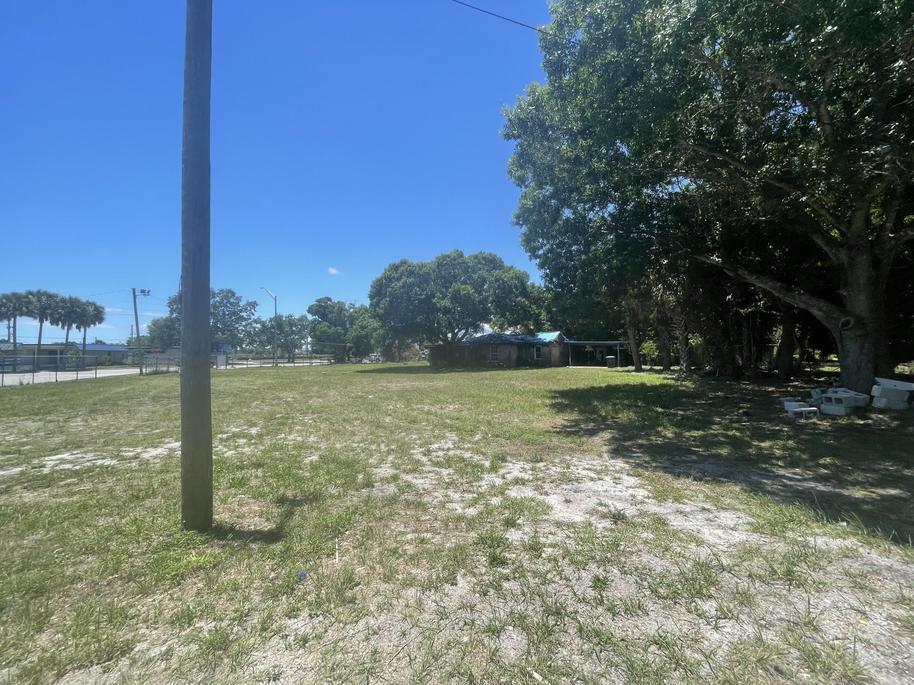 a view of a field with a tree