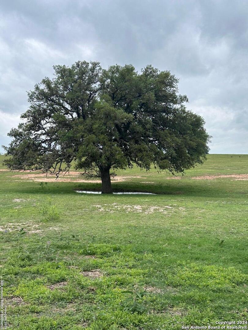 a view of outdoor space with green field and trees