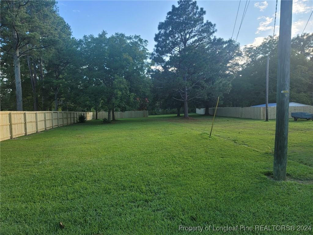 a view of a field with a tree