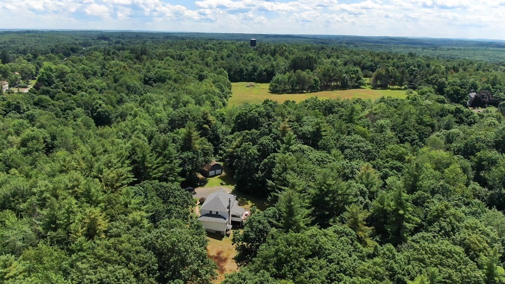 a view of a forest with a houses