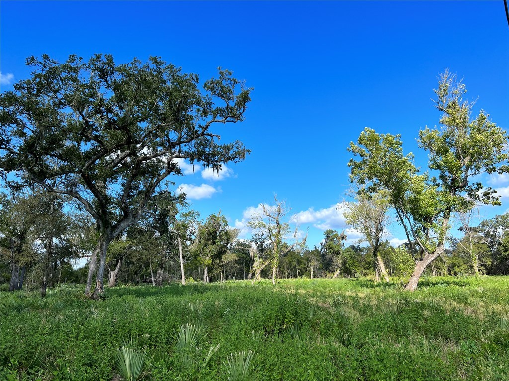 View of landscape