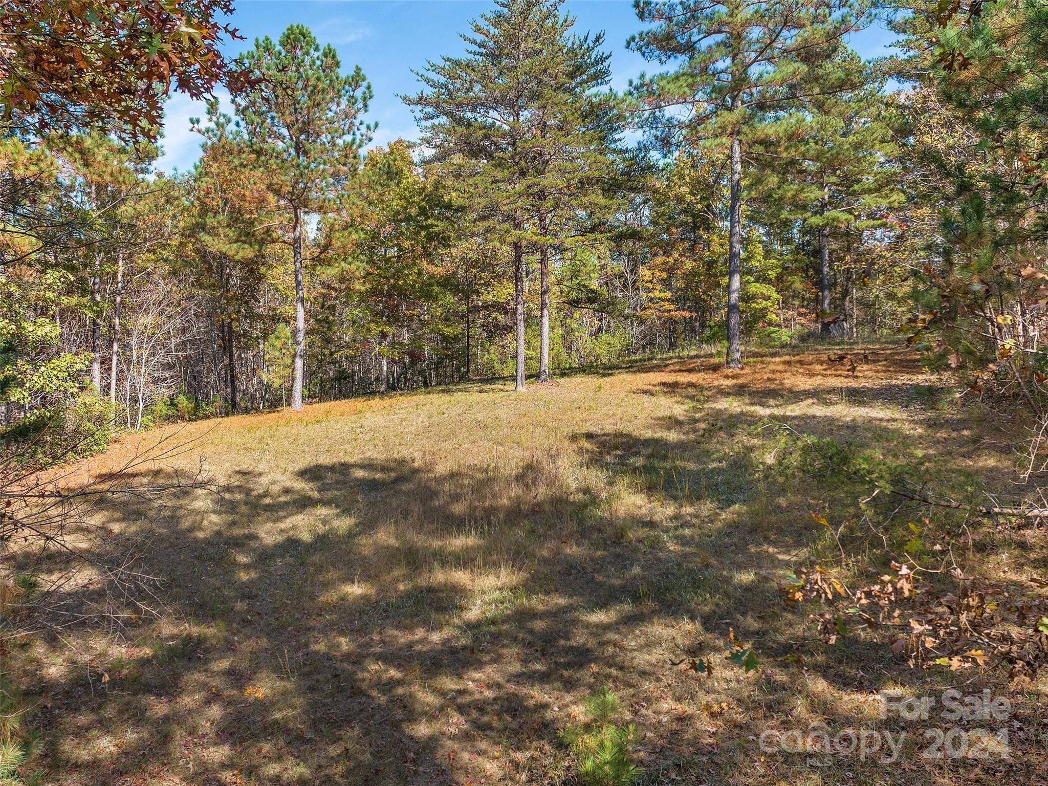 a view of empty field with trees