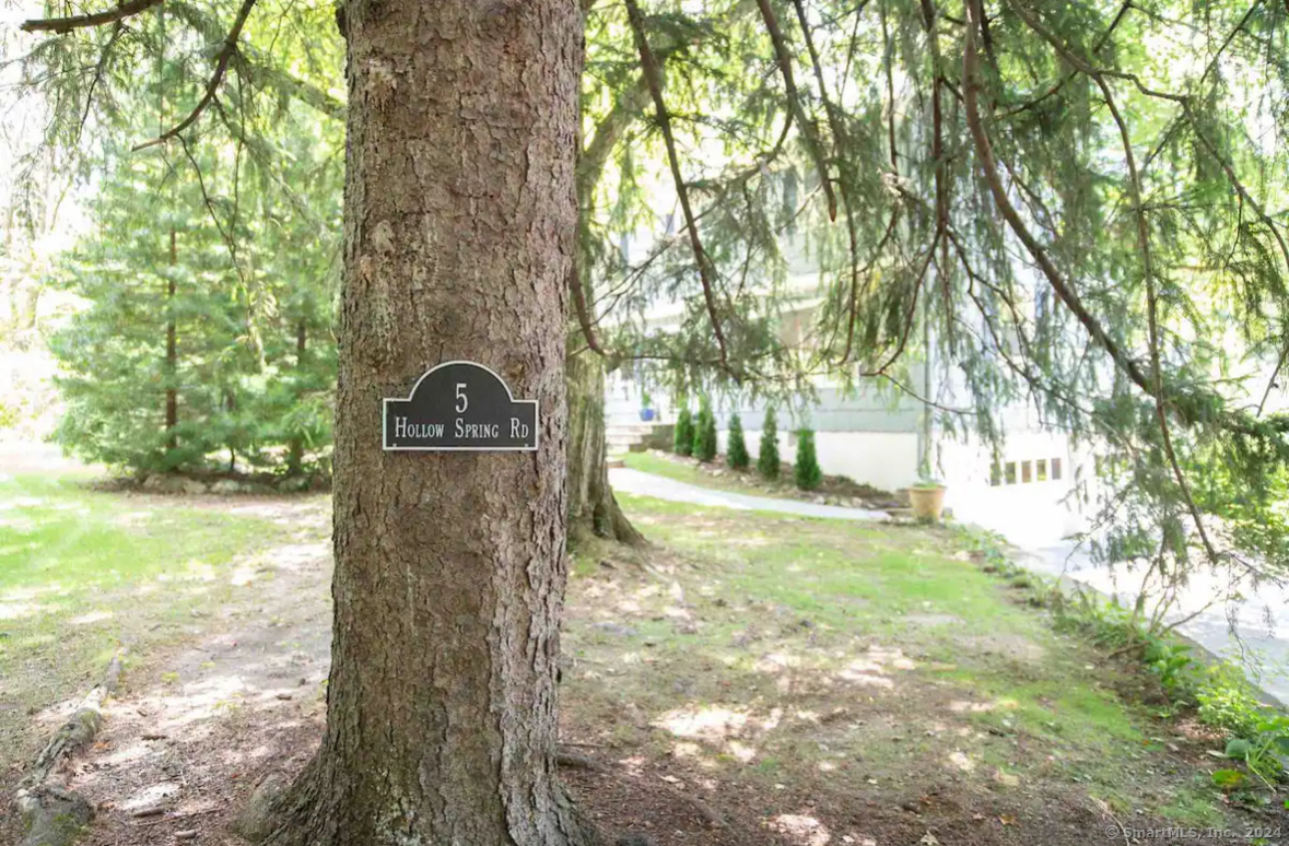 a view of a yard with plants and trees