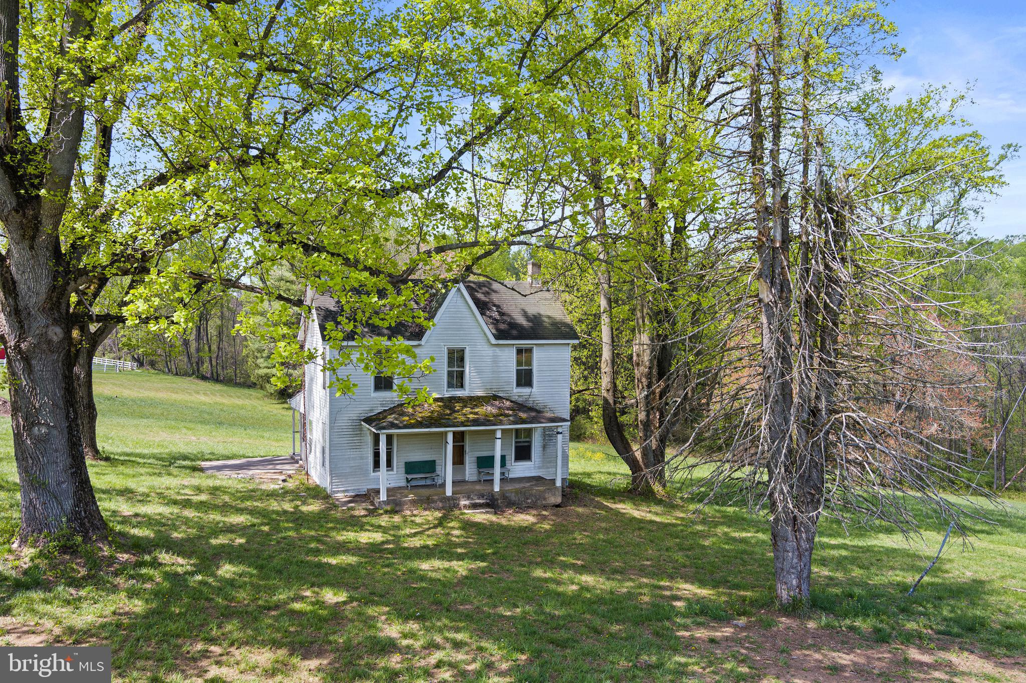 a view of a house with a yard from a large tree