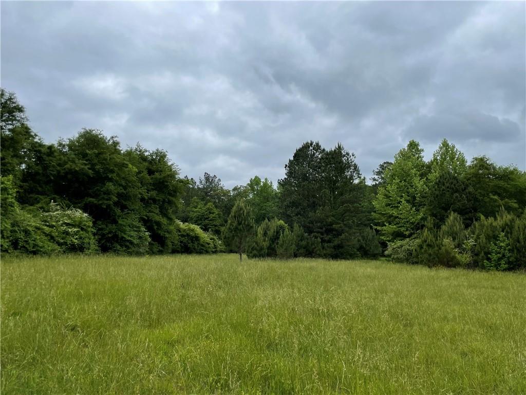 a view of a field with an trees in the background