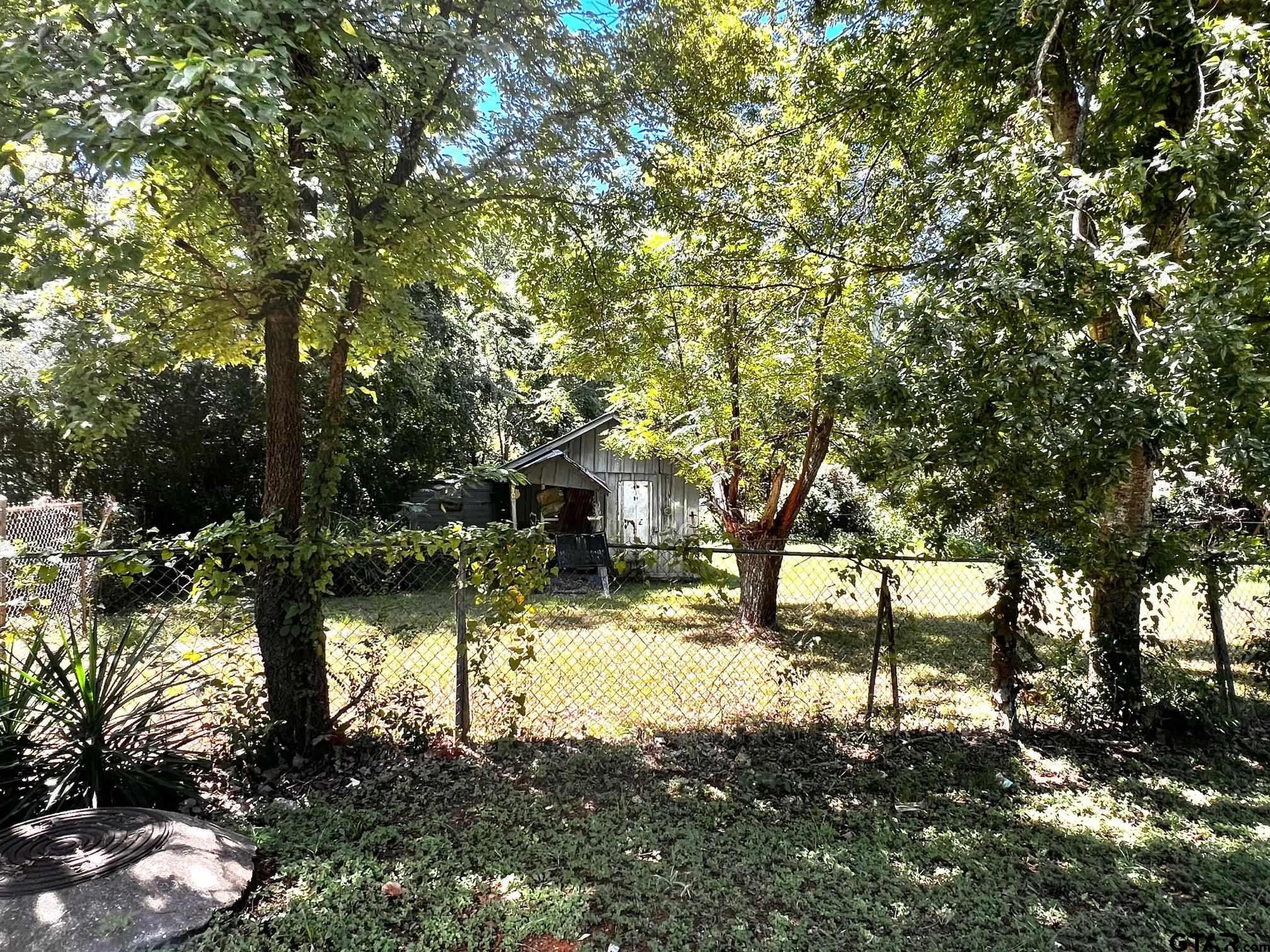 a view of a yard with plants and trees