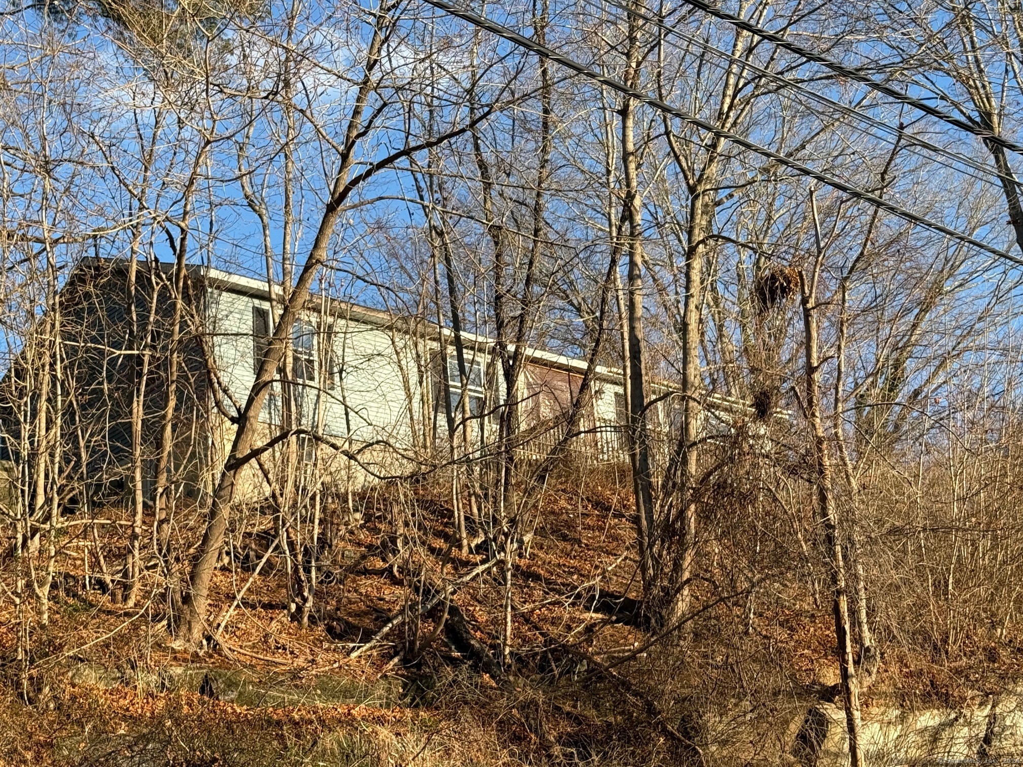 a backyard of a house with lots of trees