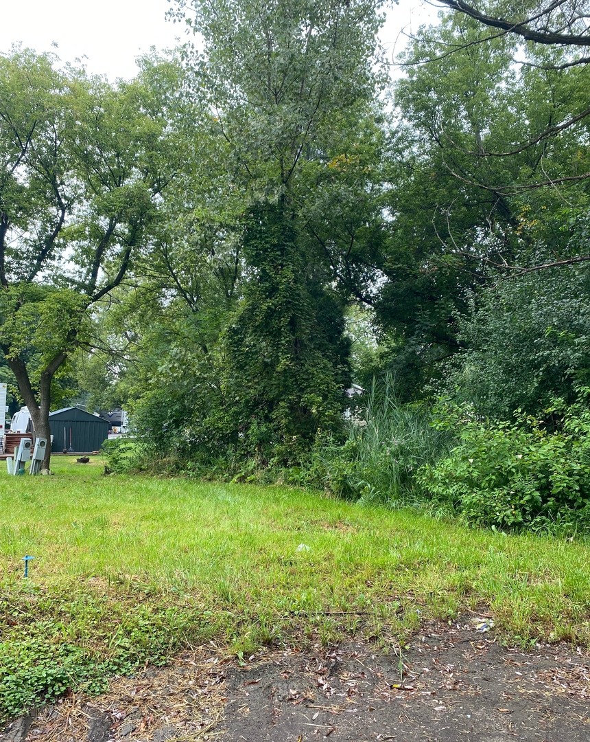 a view of a garden with a house