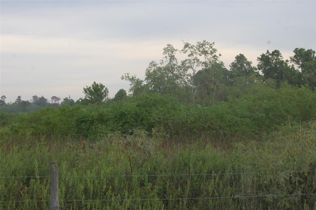 a view of a field of grass and trees