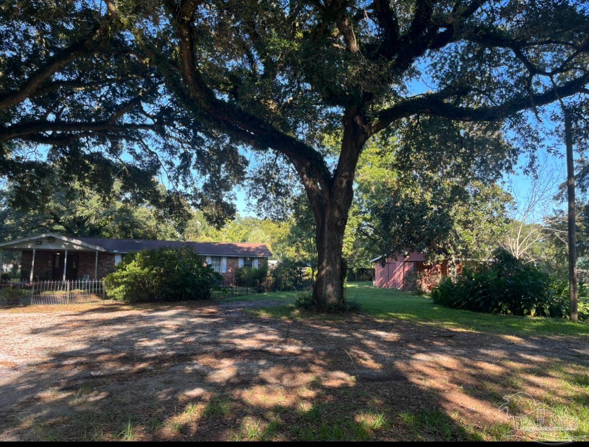 a view of a yard with plants and trees