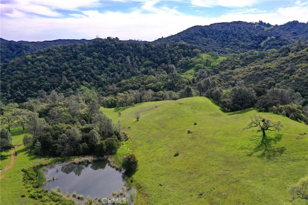 a view of a big yard with green space