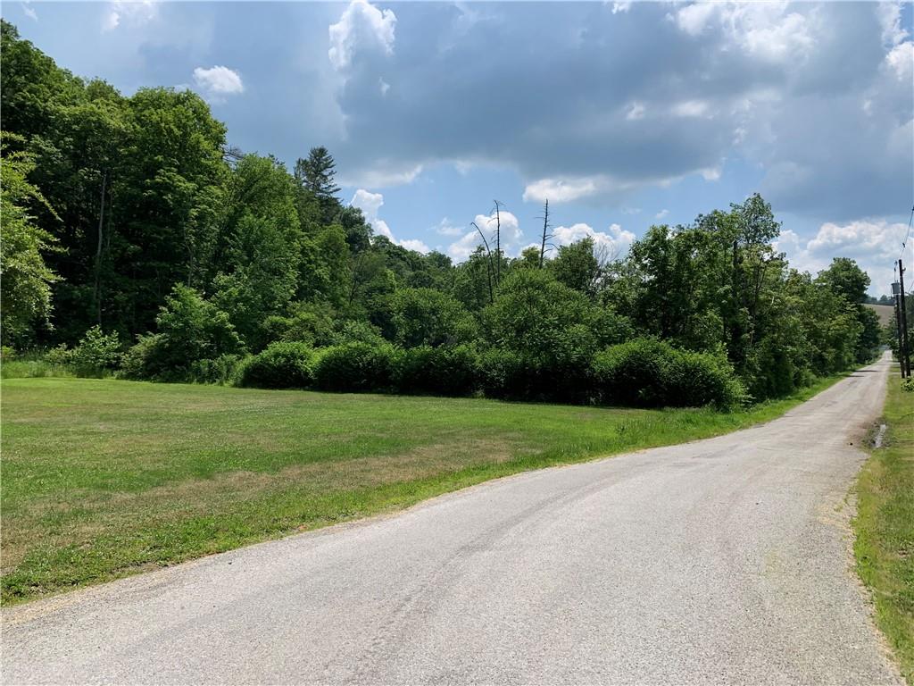 a view of a field and trees in the background