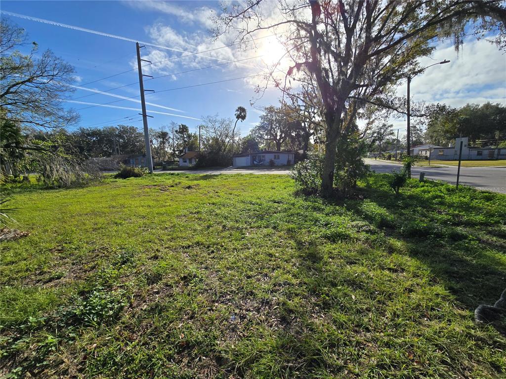 a view of a yard with an tree