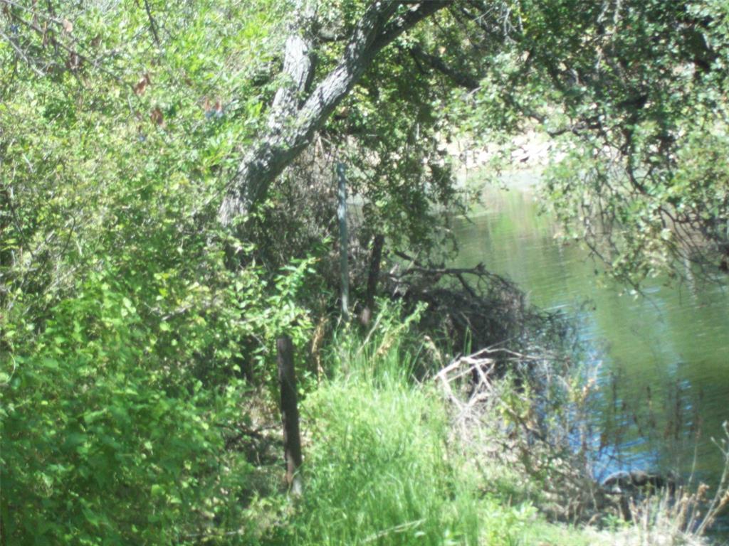 a view of a garden