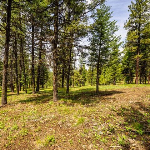 $500,000 | Lot 20 To Be Determined Mccall Id 83638, Unit 20 | McCall