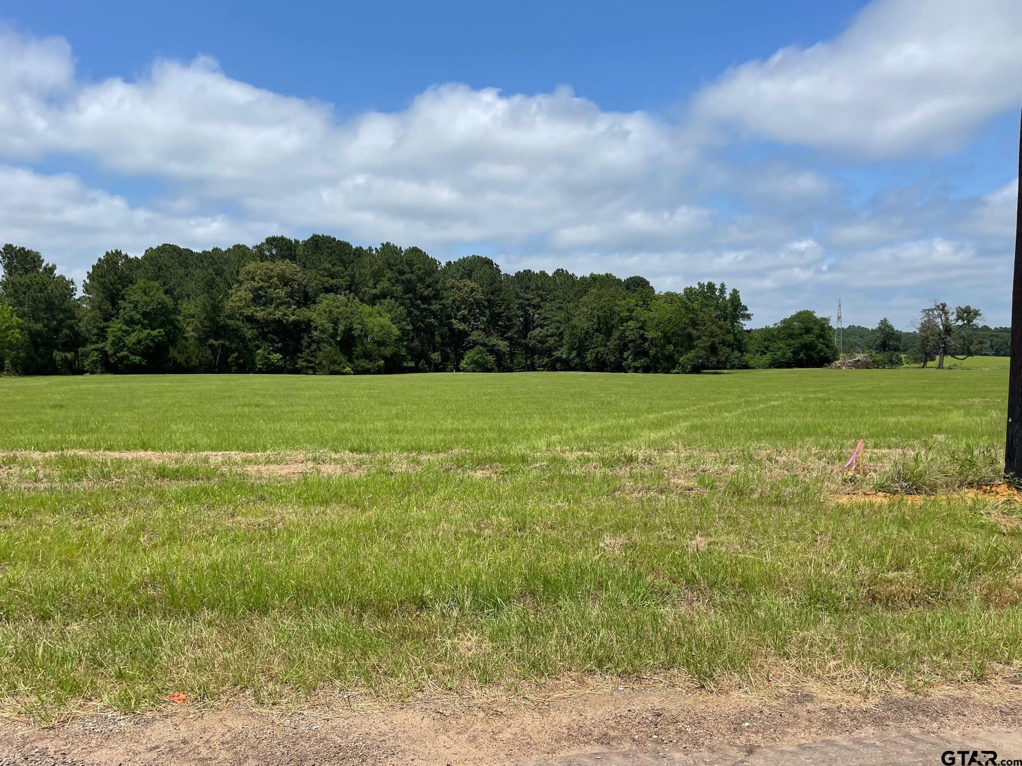 a view of field with trees in the background