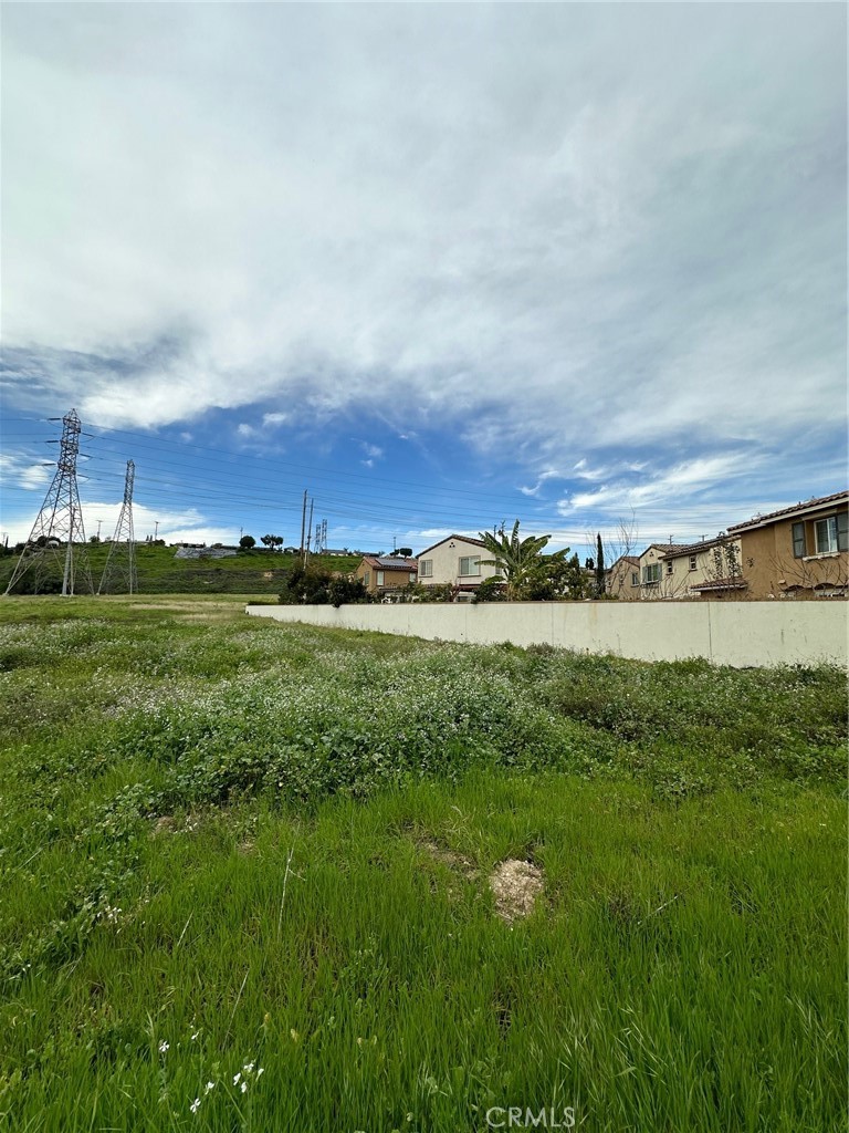 a view of a big yard with large trees