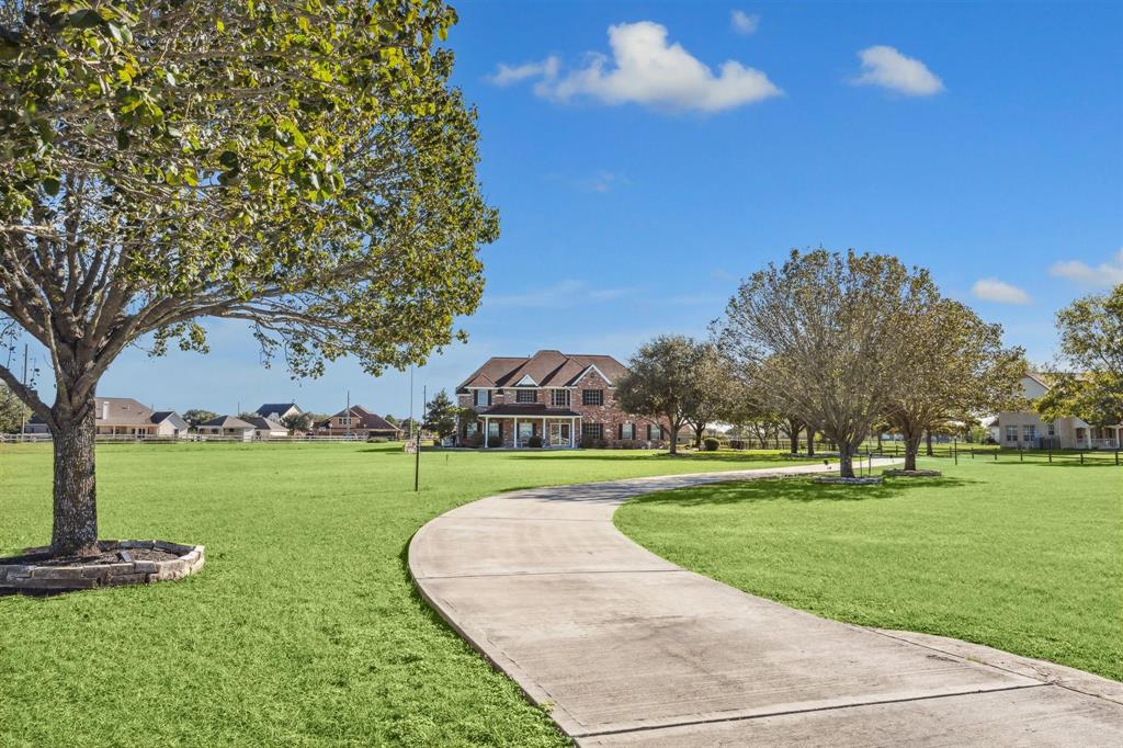 a view of large trees and a big yard