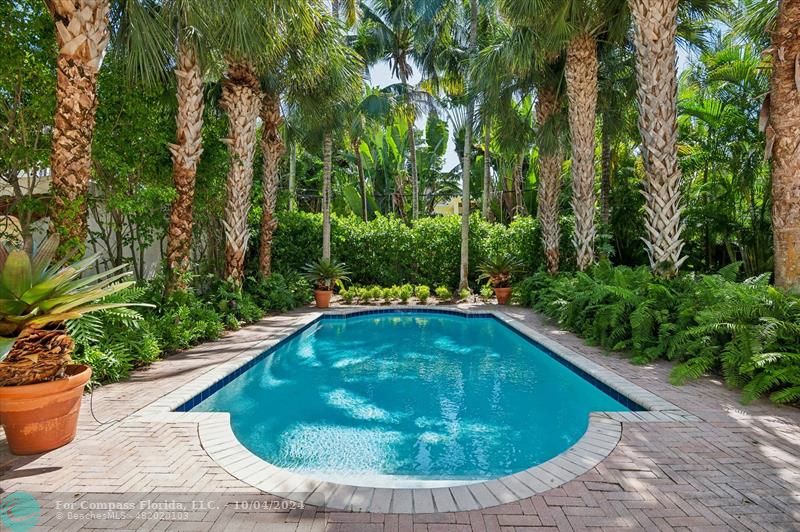 a view of a swimming pool with a yard