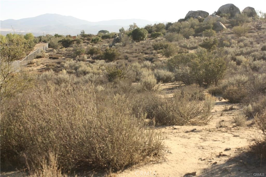 a view of a dry yard with mountains and trees