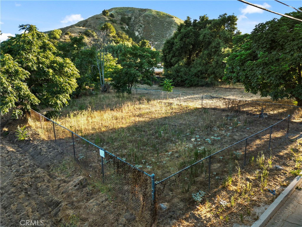 a view of a back yard