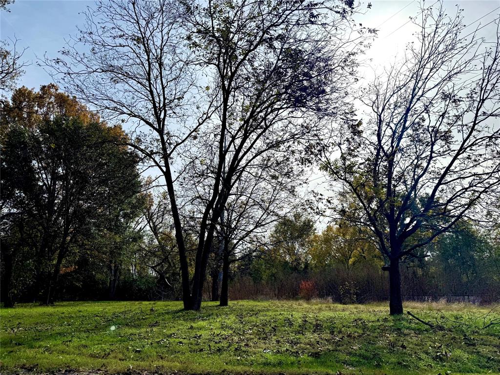 a view of backyard with green space